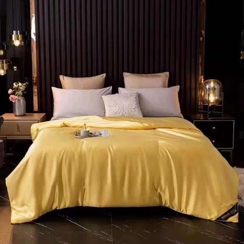 純色長款真絲滌綸夏季被子 制造商,純色長款真絲滌綸夏季被子 工廠,供應 純色長款真絲滌綸夏季被子