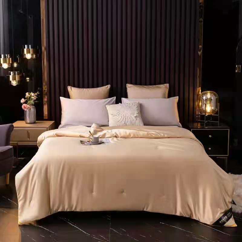 純色長款真絲滌綸夏季被子 制造商,純色長款真絲滌綸夏季被子 工廠,供應 純色長款真絲滌綸夏季被子