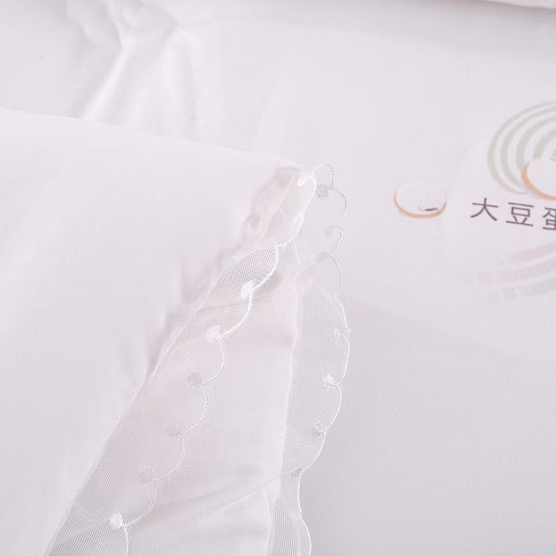 純色大豆滌綸冬季被子 制造商,純色大豆滌綸冬季被子 工廠,供應(yīng) 純色大豆滌綸冬季被子